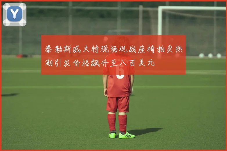 泰勒斯威夫特现场观战座椅拍卖热潮引发价格飙升至八百美元